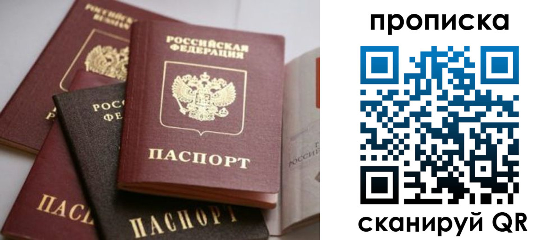 прописка регистрация в Камышине